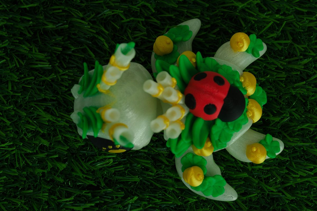 Lucky Charm Turtle