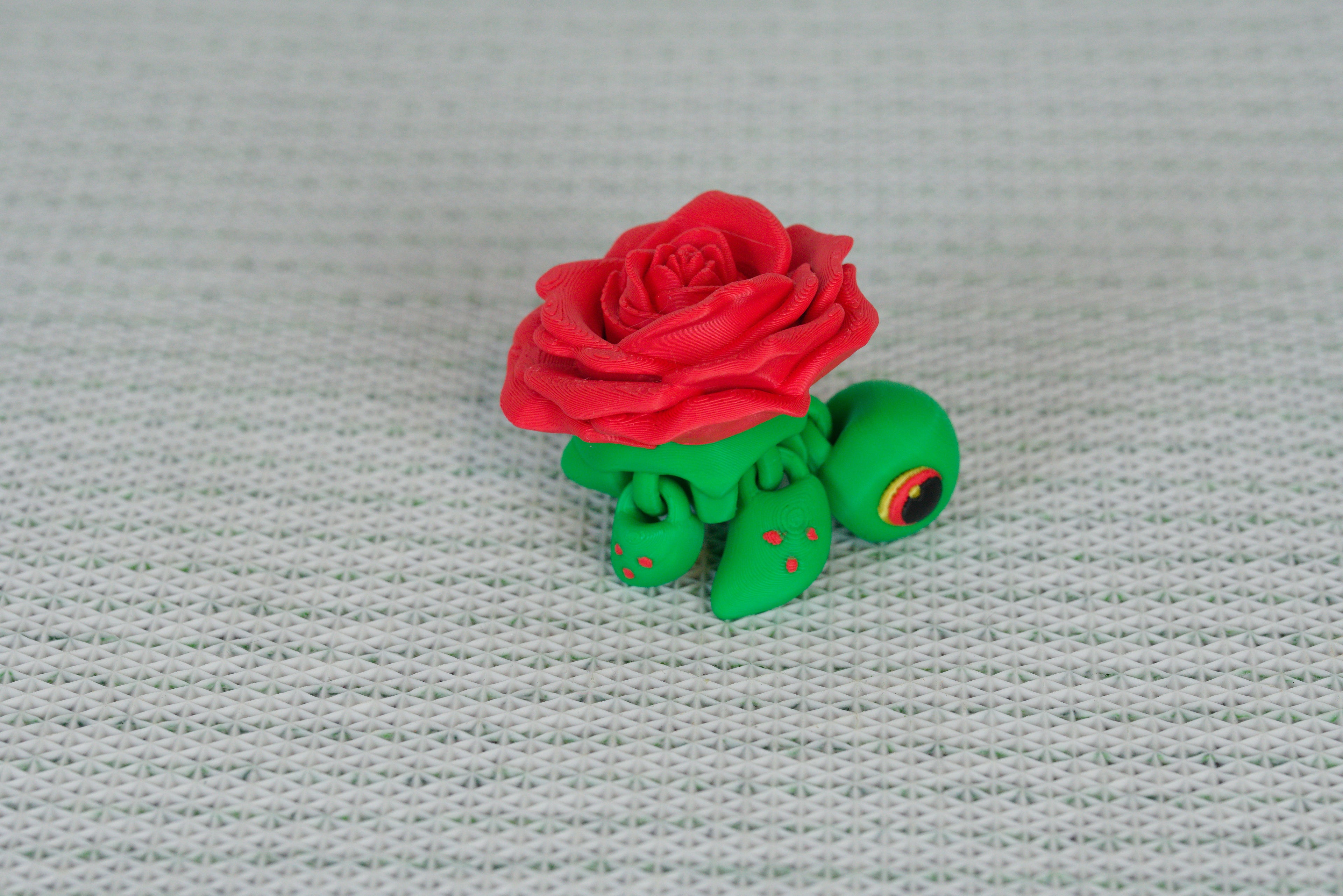 Rose Spinner Turtle
