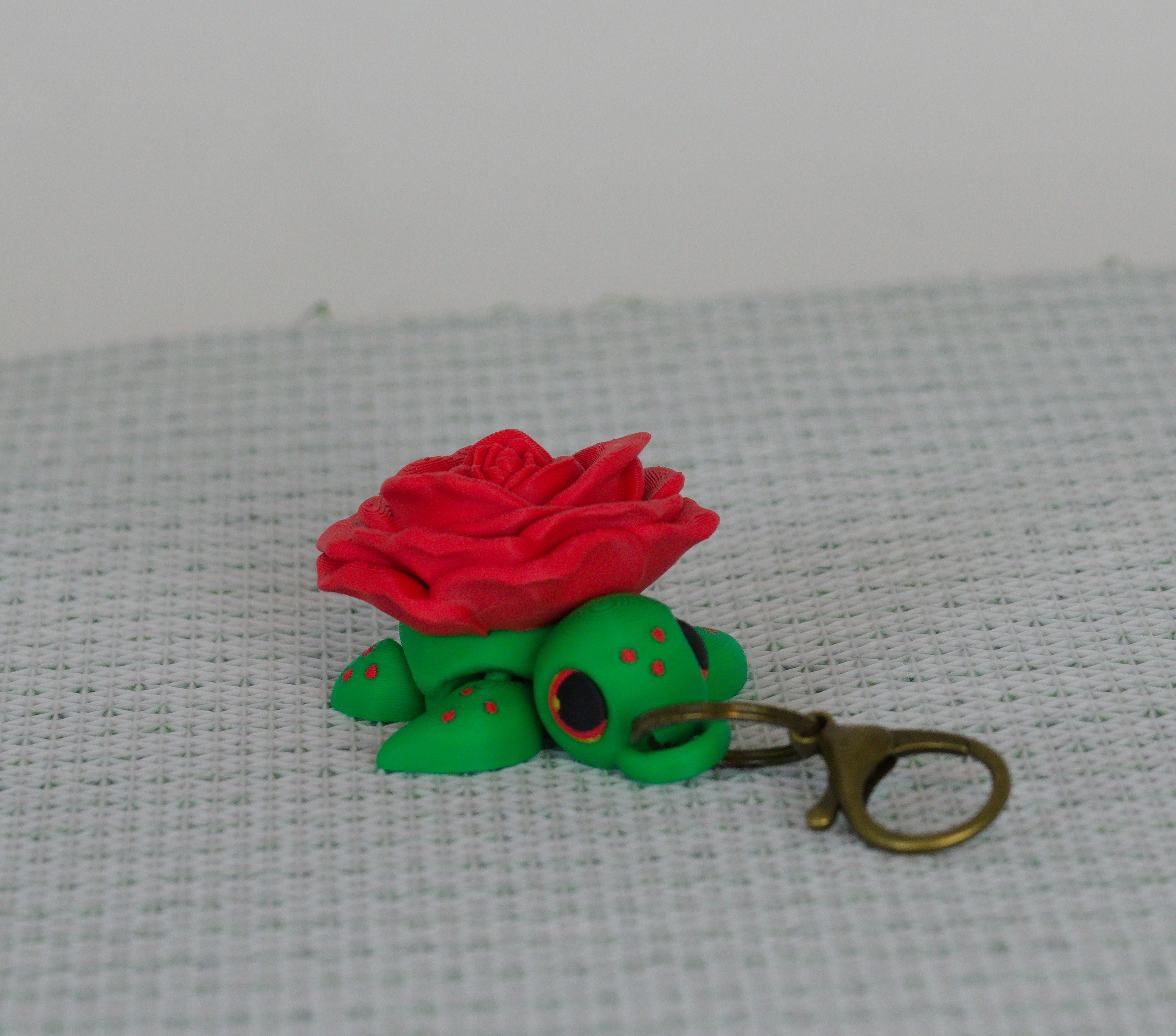 Rose Spinner Turtle