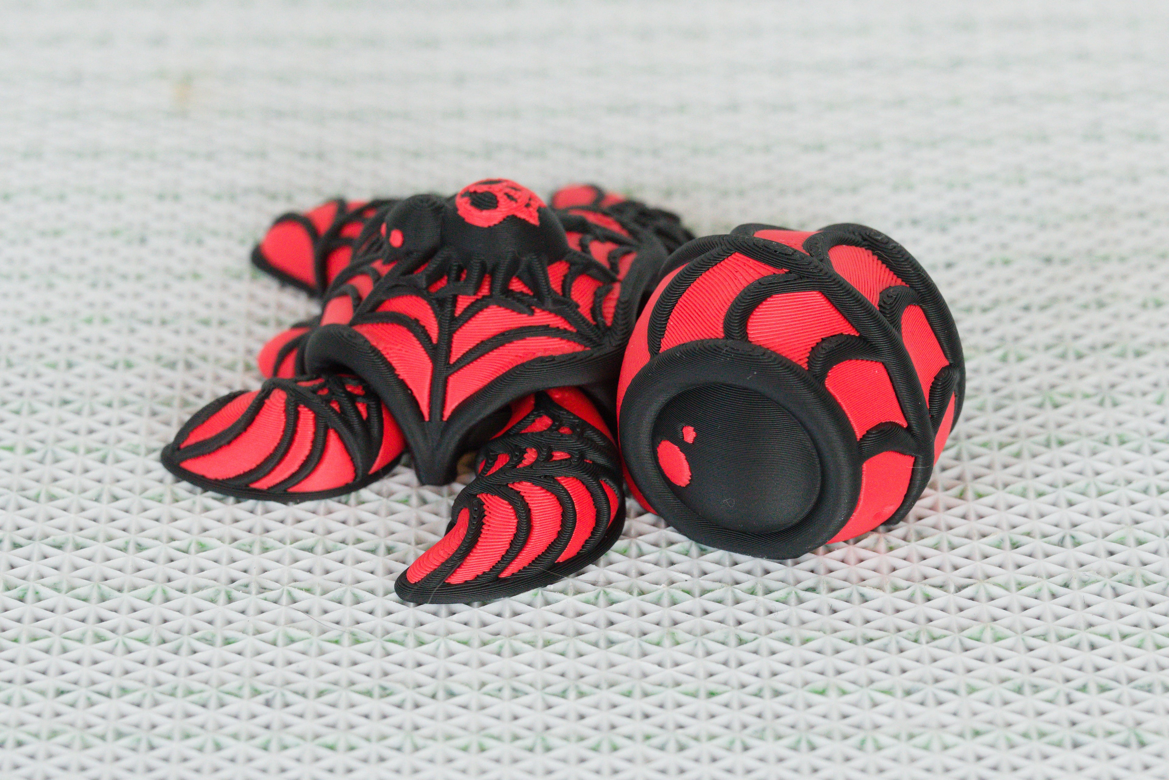Spider Turtle