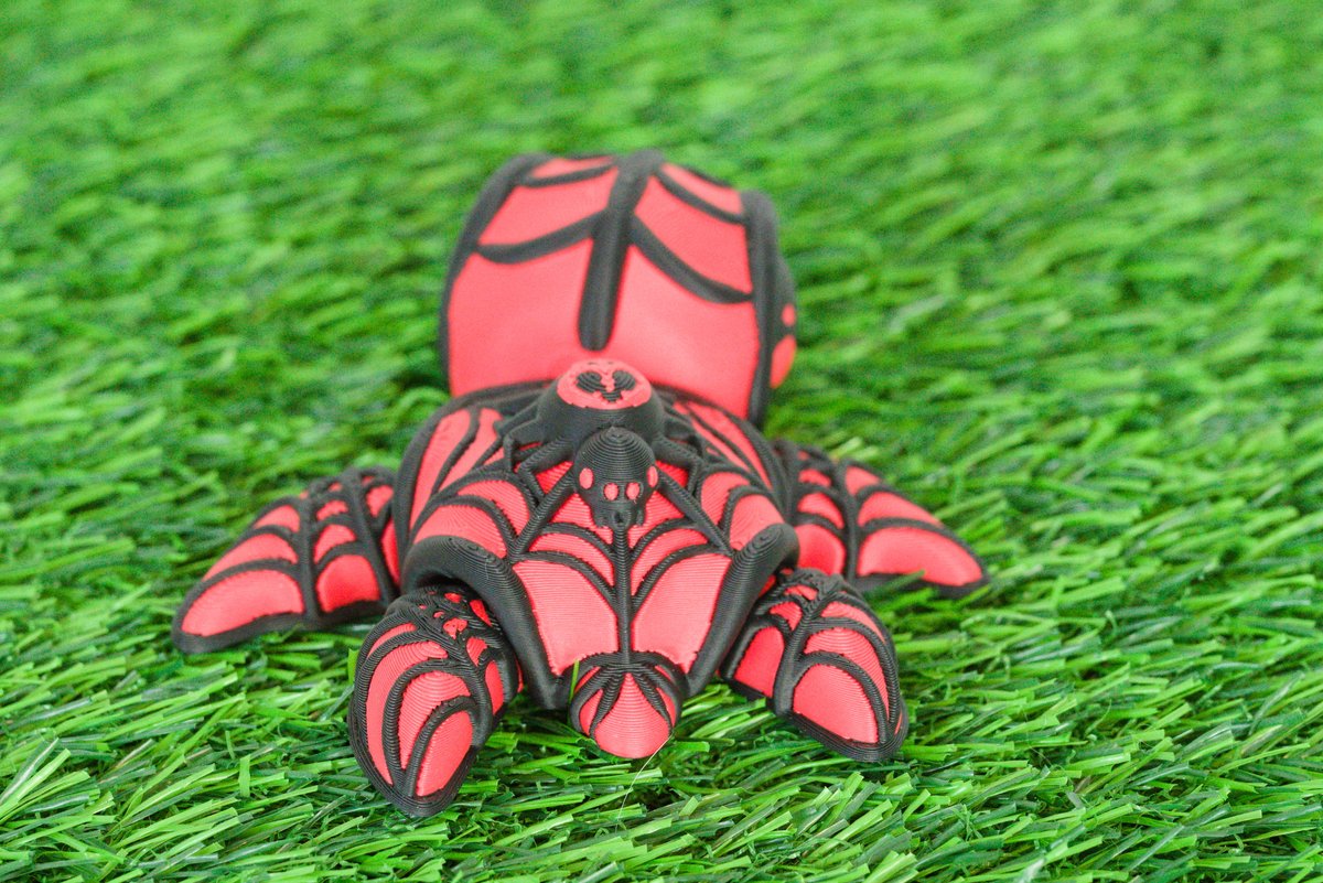 Spider Turtle